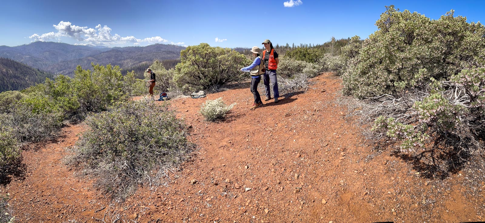 Klamath Mountains Vegetation Mapping Partnership - North Coast 