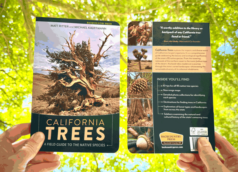 California Trees