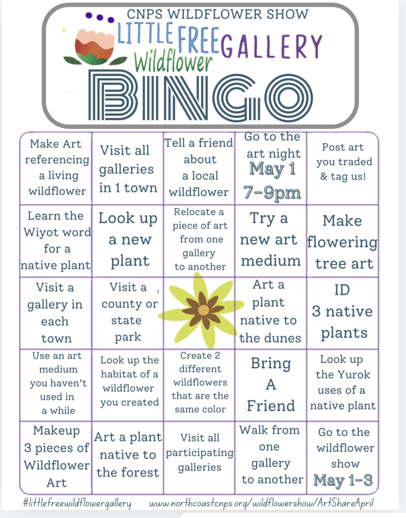 Wildflower Show ArtShare April BINGO