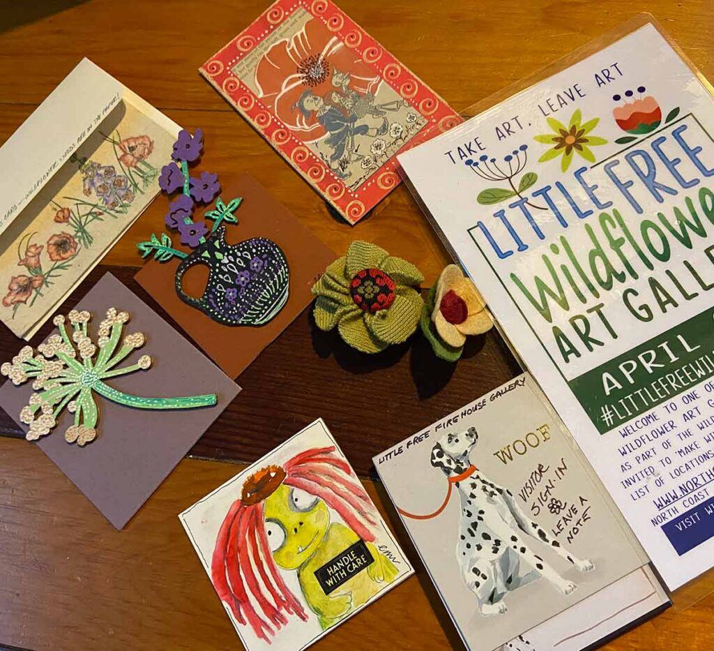 So many types of Little Free Wildflower Art!